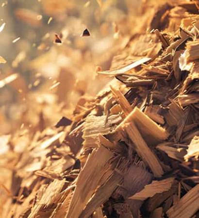 Wood CHips B